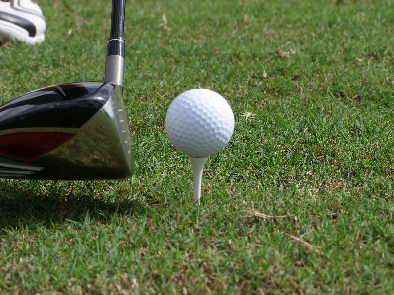 Choose the Right Golf Tees for Success: A Guide to Maximizing Your Game